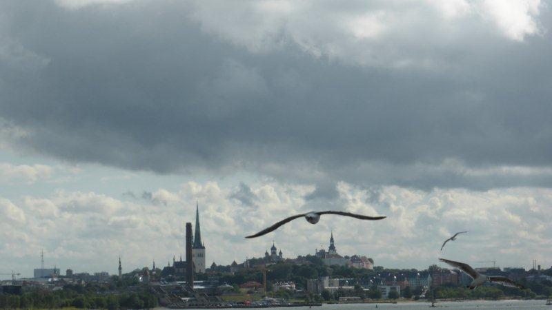 P1000643 - Kopie.JPG